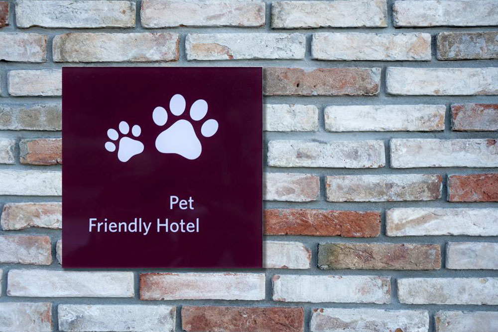 Top Pet-friendly Hotels in the Country